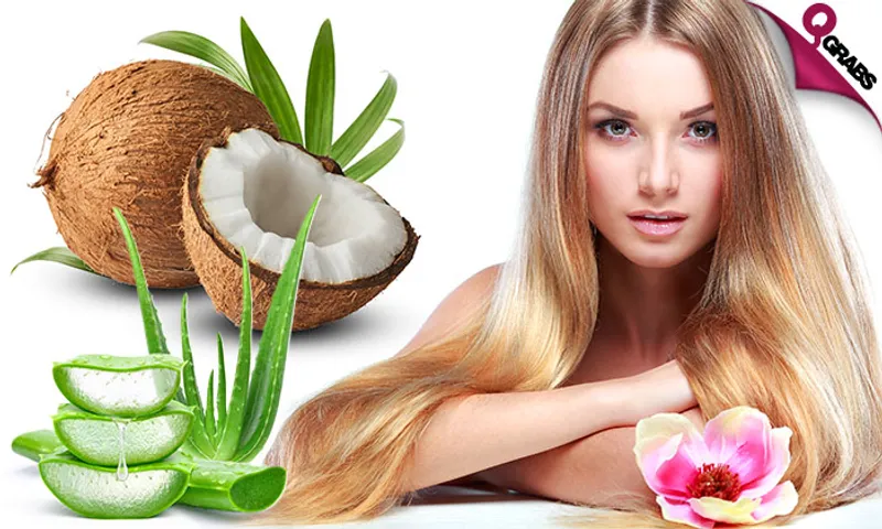 Aloe Vera, Coconut, & Protein Hair Treatments!